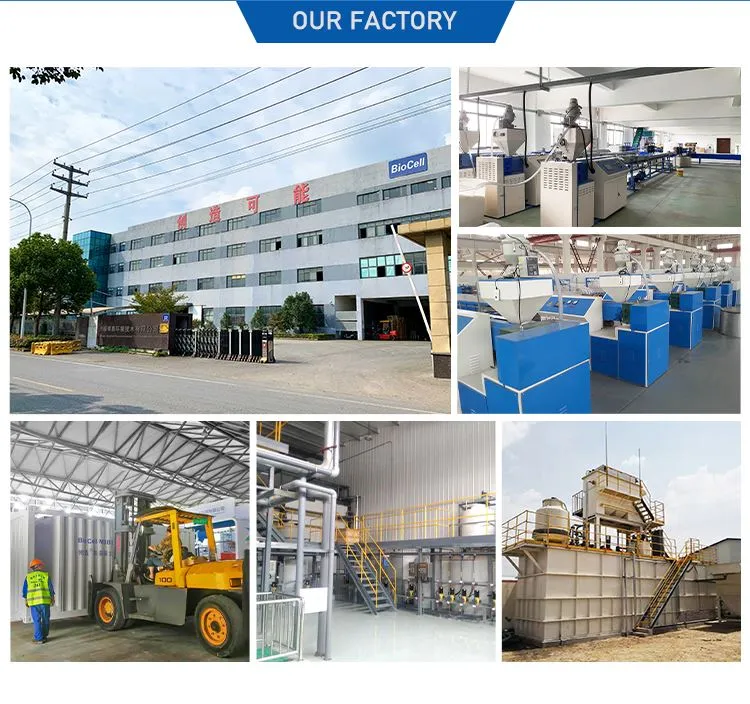BioCell Factory