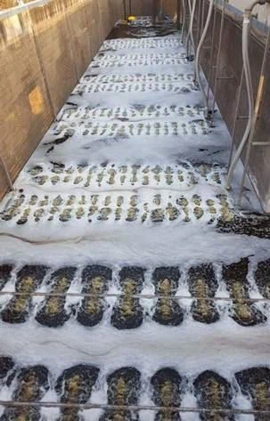 Solution of MBBR Combination Retention Screen Solution of MBBR Combination Retention Screen